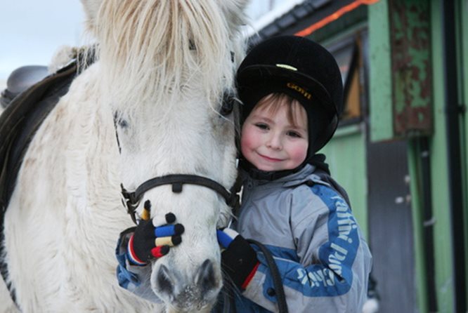 冰岛骑马团 - 家庭探险