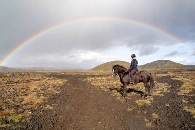 冰岛骑马团 - 维京之旅