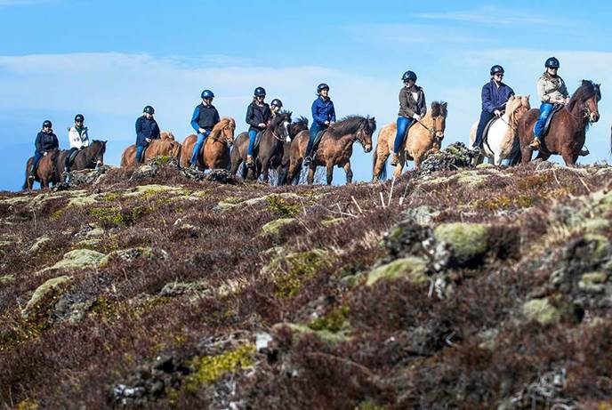 冰岛火山苔藓地貌骑马