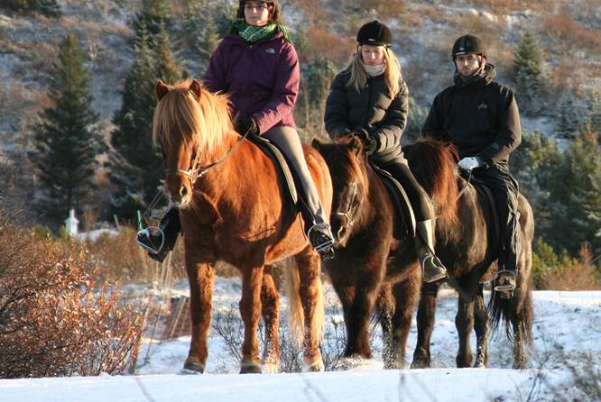 冰岛骑马团