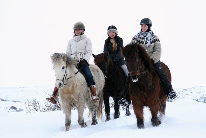 冬季冰岛骑马