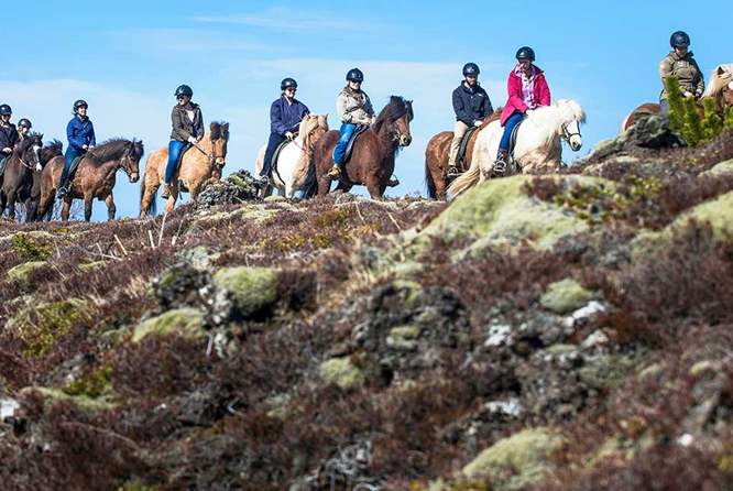 冰岛骑马队