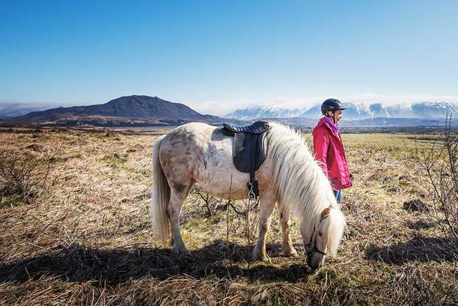 冰岛骑马1日团