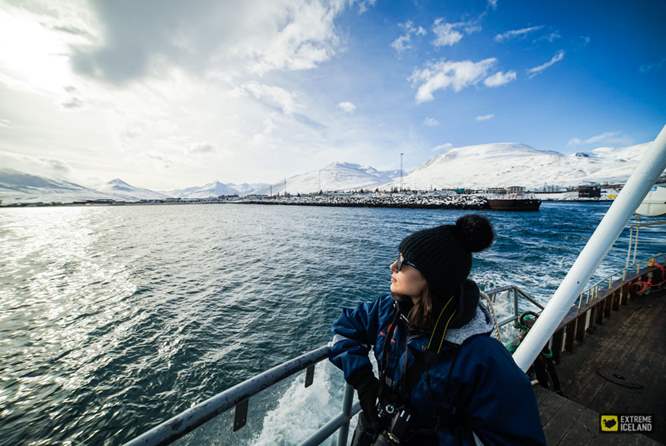 冰岛北部观鲸海钓团
