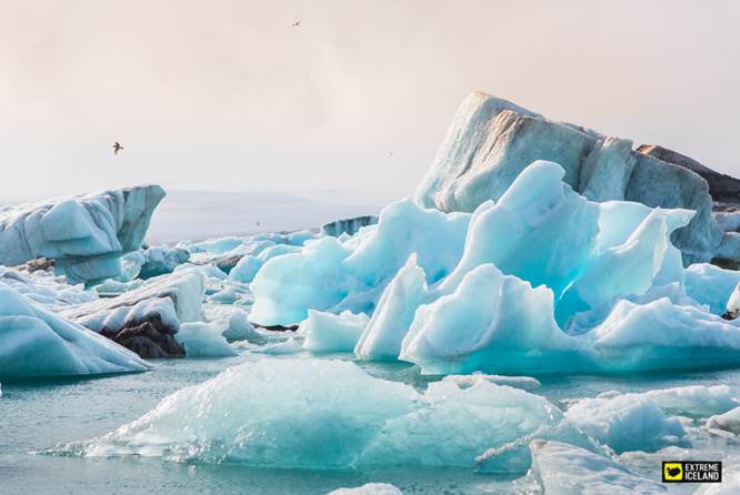 杰古沙龙冰湖湛蓝的浮冰