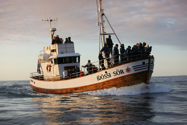 胡萨维克传统橡木船观鲸
