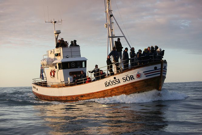 胡萨维克传统橡木船观鲸