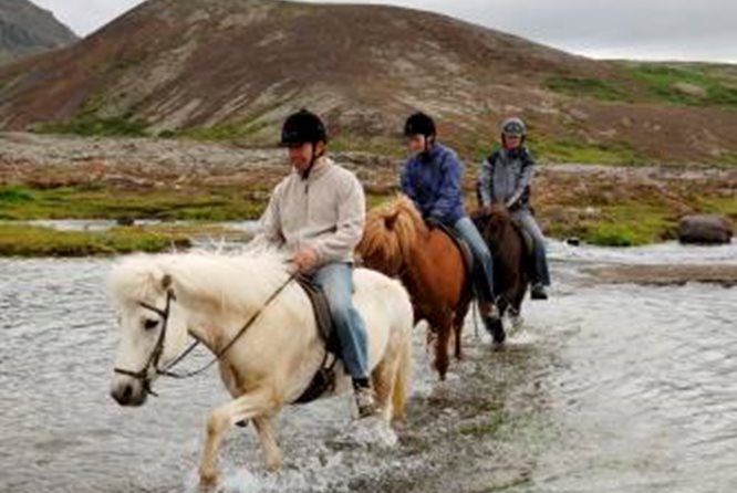 冰岛骑马团 - 维京体验快线