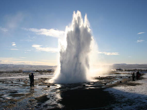 黄金圈的惊喜 – 迷你小巴极光团