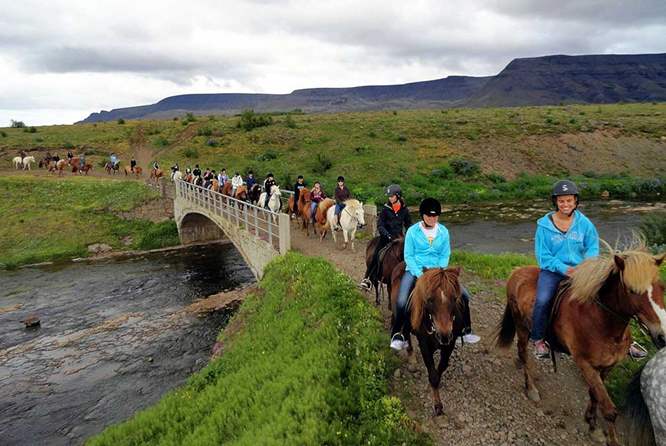 冰岛马队伍过桥