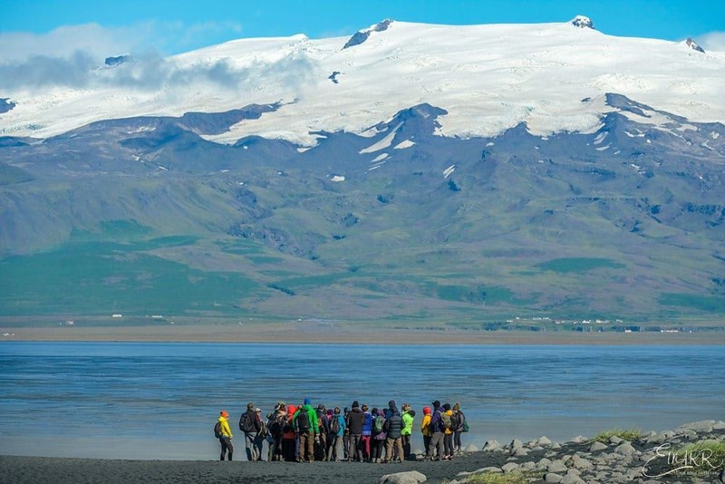 冰岛海鹦观赏攻略 观海鹦地点推荐 Extreme Iceland